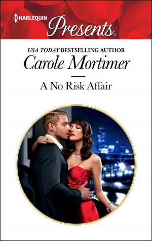 Cover of the book A No Risk Affair by Cassie Miles, Jan Hambright