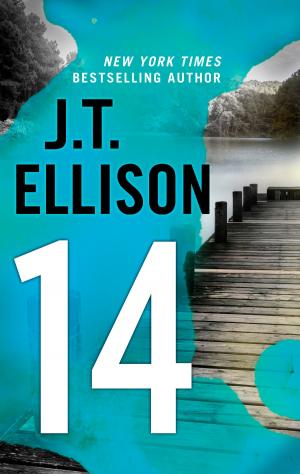 Cover of the book 14 by Emilie Richards