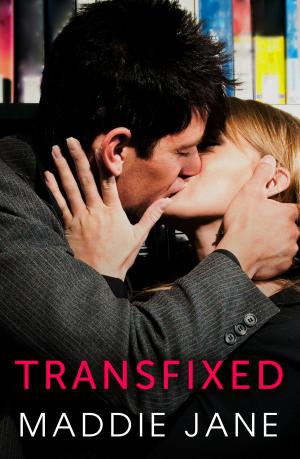Cover of the book Transfixed by Cate Ellink