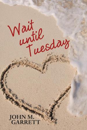 Cover of the book Wait Until Tuesday by Susan Trede