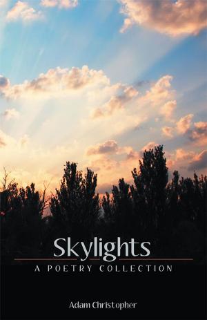 Cover of the book Skylights by Chad Chisholm