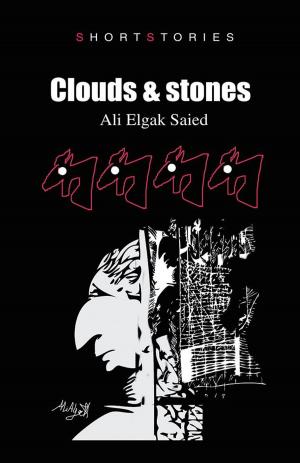 Cover of the book Clouds & Stones by GRETA VAN DEN BERG