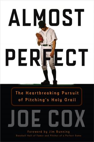 Cover of the book Almost Perfect by C. B. Bernard
