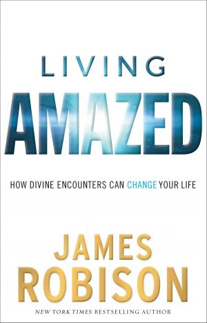Cover of the book Living Amazed by Joel L. Meredith