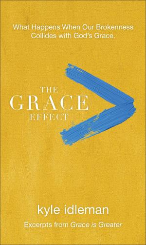 Cover of the book The Grace Effect by Dani Pettrey