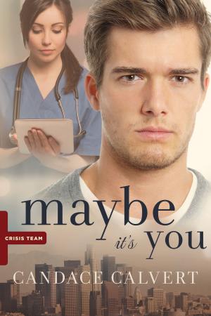 Cover of the book Maybe It's You by Jim Seybert
