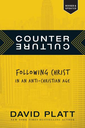 Book cover of Counter Culture