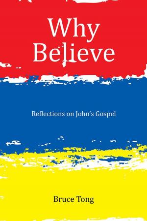 Cover of the book Why Believe by EBF Scanlon