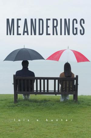 Cover of the book Meanderings by Trevor L. White