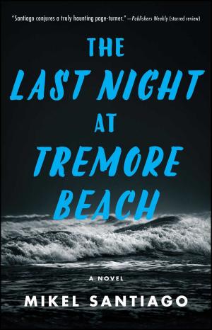 Cover of the book The Last Night at Tremore Beach by Krista Bean