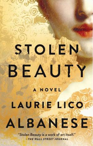 Cover of the book Stolen Beauty by John de Lancie, Tom Cool