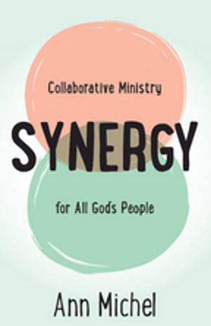 Cover of the book Synergy by Peg Augustine