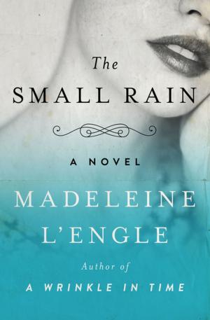 Cover of the book The Small Rain by Lisa Alther