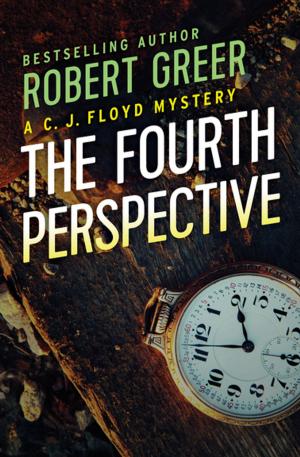 bigCover of the book The Fourth Perspective by 