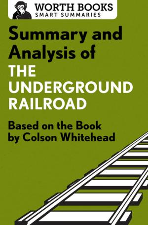 Cover of the book Summary and Analysis of The Underground Railroad by Carien Touwen
