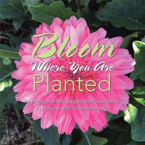 Cover of the book Bloom Where You Are Planted by Jonathan Mubanga Mumbi