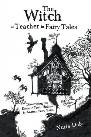 Cover of the book The Witch as Teacher in Fairy Tales by Despina Rosales