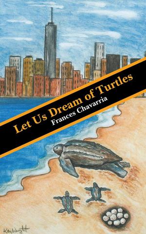 Cover of the book Let Us Dream of Turtles by Julie Boyer