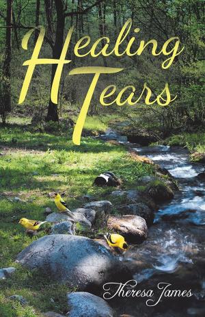 Cover of the book Healing Tears by Janet Lisa Balcombe