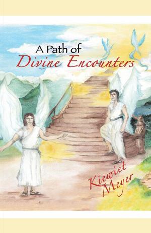 Cover of the book A Path of Divine Encounters by Ilze Puriv