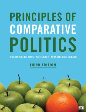 Book cover of Principles of Comparative Politics