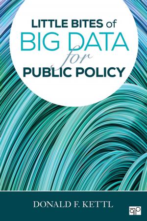 Cover of the book Little Bites of Big Data for Public Policy by Dr. Karen Seashore Louis, Sharon Kruse