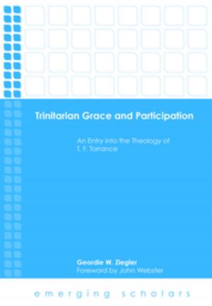 Book cover of Trinitarian Grace and Participation