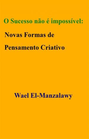 Book cover of O Sucesso Não É Impossível: Novas Formas De Pensamento Criativo