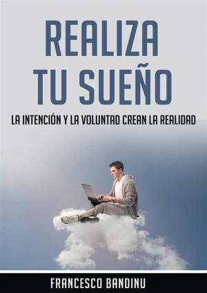 Cover of the book Realiza Tu Sueño by Hrachya Manukyan