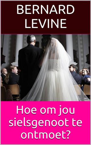 Cover of the book Hoe om jou sielsgenoot te ontmoet? by Miguel D'Addario