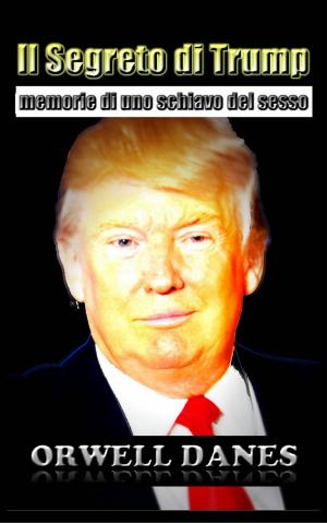 Cover of the book Il Segreto di Trump: memorie di uno schiavo del sesso by Enrique Laso