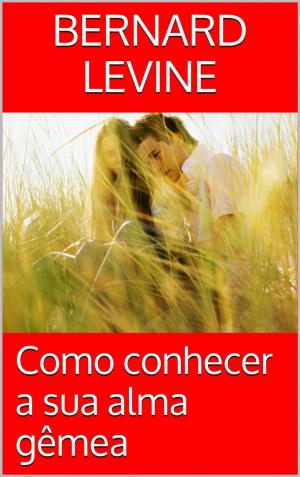 Cover of the book Como conhecer a sua alma gêmea by Patrice Martinez