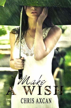 Cover of the book Make a wish by Sky Corgan