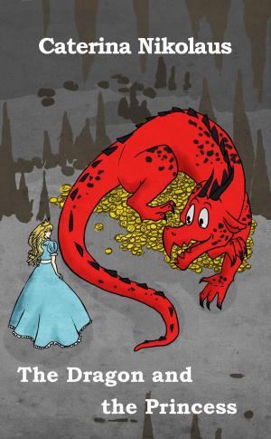 Cover of the book The Dragon and the Princess by Feronia Petri (pen name)