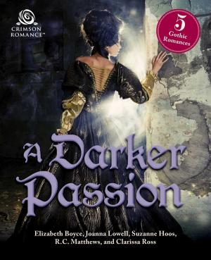 Book cover of A Darker Passion