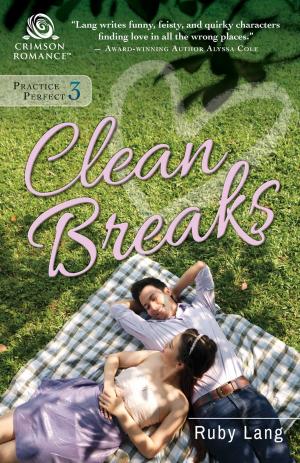 Cover of the book Clean Breaks by Mary A. Finley