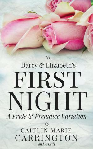 Book cover of Darcy and Elizabeth's First Night: A Pride and Prejudice Variation