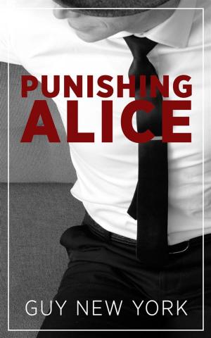 Cover of the book Punishing Alice by Fortunata