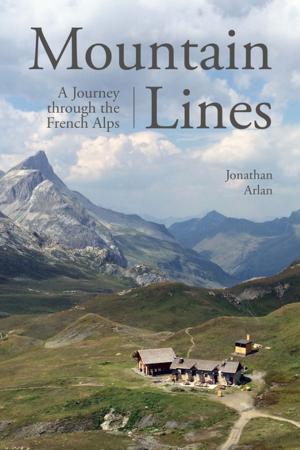 Cover of the book Mountain Lines by Mathew Tekulsky