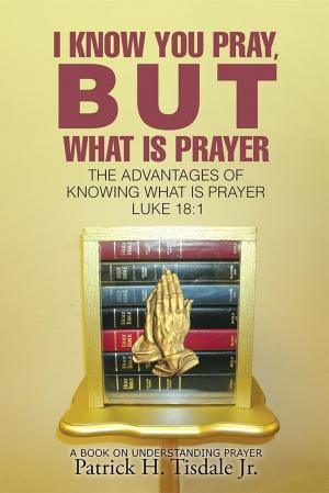Cover of the book I Know You Pray, but What Is Prayer by GJ Neumann