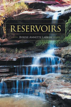 Cover of the book Reservoirs by Ginger Hurta