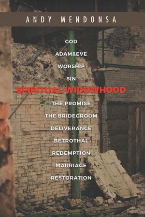 Cover of the book Spiritual Widowhood by Tieca Harris