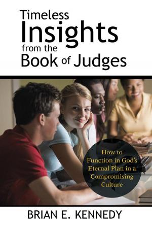 Book cover of Timeless Insights from the Book of Judges