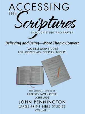 Cover of the book Accessing the Scriptures by Katie Ann Barnett
