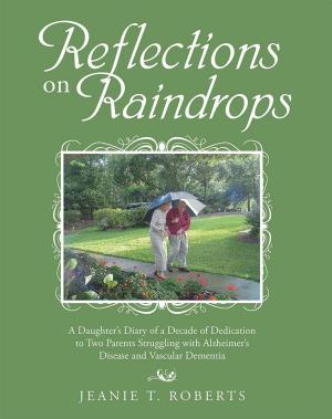 Cover of the book Reflections on Raindrops by David John Burgin