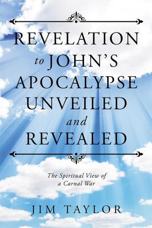 Cover of the book Revelation to John’S Apocalypse Unveiled and Revealed by James Kerkula