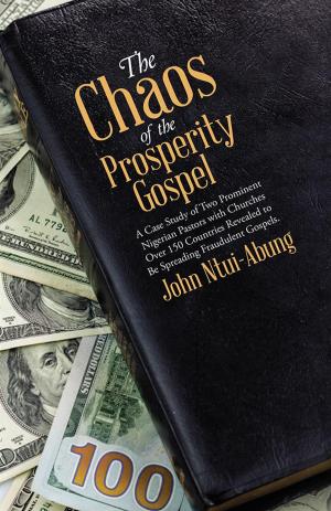Cover of the book The Chaos of the Prosperity Gospel by Nelson Mendes