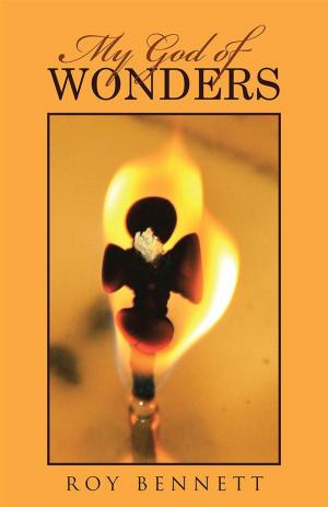 Cover of the book My God of Wonders by Susan Davis  Ph.D.