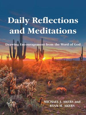 Cover of the book Daily Reflections and Meditations by Brett L. Brooks