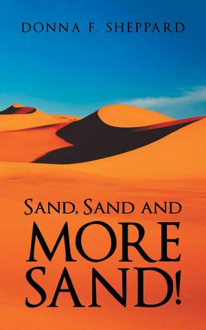 Cover of the book Sand, Sand and More Sand! by Judith Hall Simon
